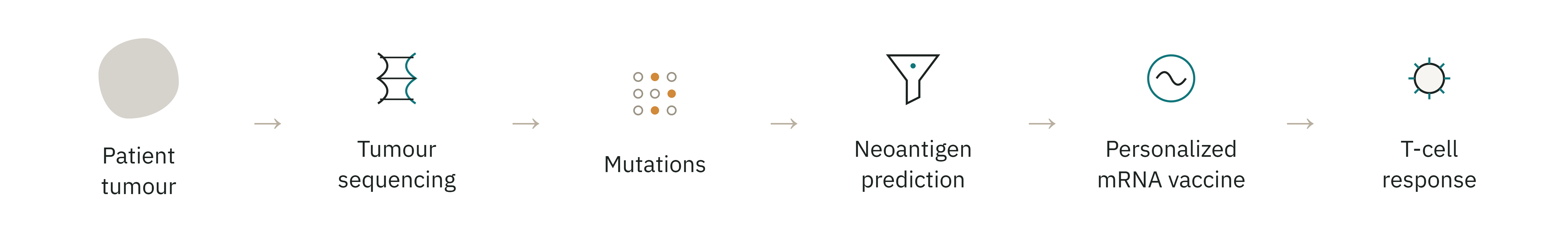 Pipeline from patient tumour to sequencing, mutations, neoantigen prediction, personalised mRNA vaccine and T-cell response.