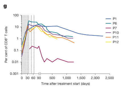 Share of vaccine-induced CD8+ T cells in the blood of six patients over several years after vaccination.